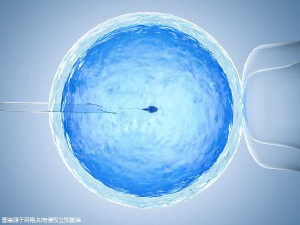 冰原生殖医学中心
